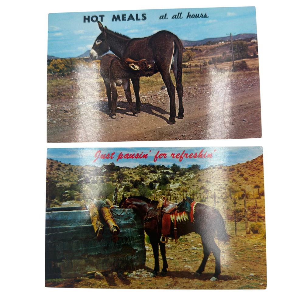 Vintage Petley Studios Arizona Postcards Donkey Cowboy Western Humor Set of 2